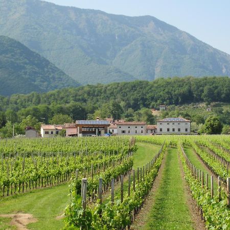 Agriturismo Al Col 福利纳 外观 照片