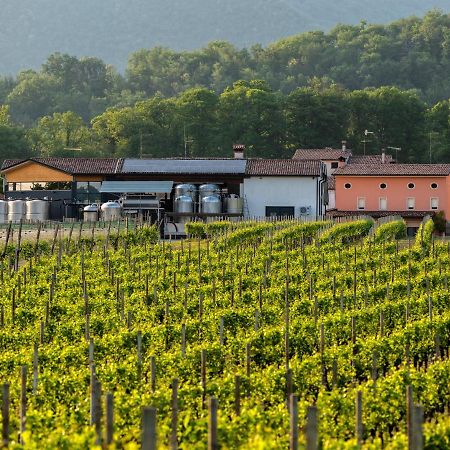 Agriturismo Al Col 福利纳 外观 照片