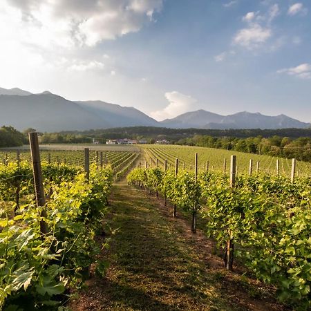 Agriturismo Al Col 福利纳 外观 照片