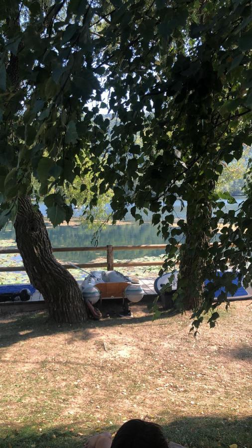 Agriturismo Al Col 福利纳 外观 照片