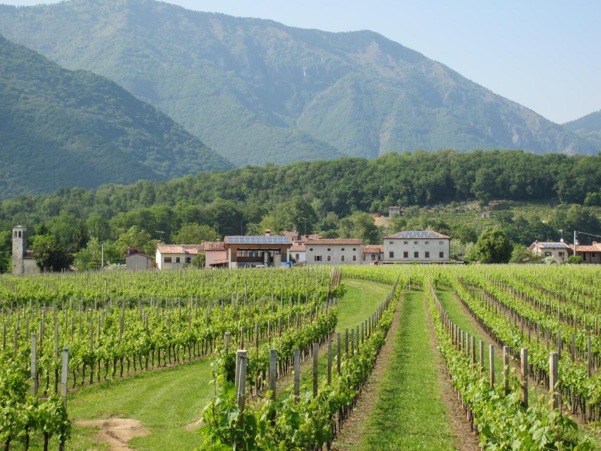 Agriturismo Al Col 福利纳 外观 照片