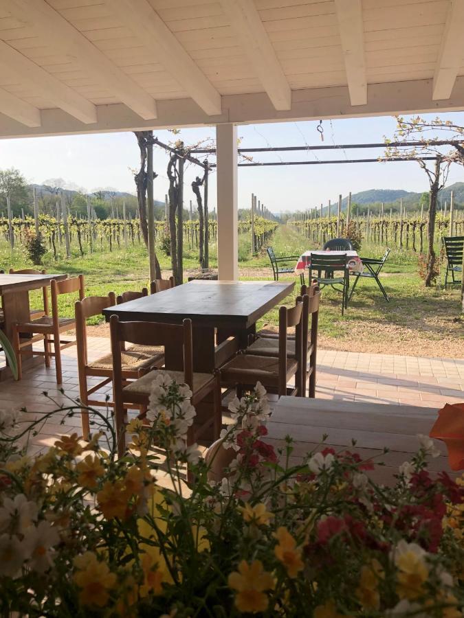 Agriturismo Al Col 福利纳 外观 照片