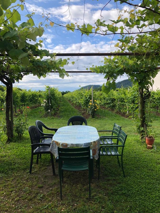 Agriturismo Al Col 福利纳 外观 照片