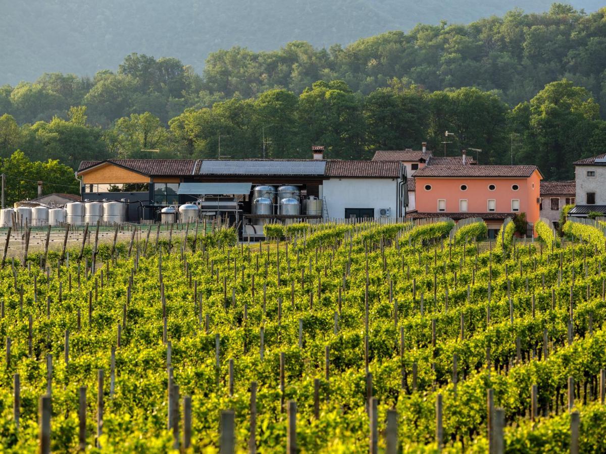Agriturismo Al Col 福利纳 外观 照片