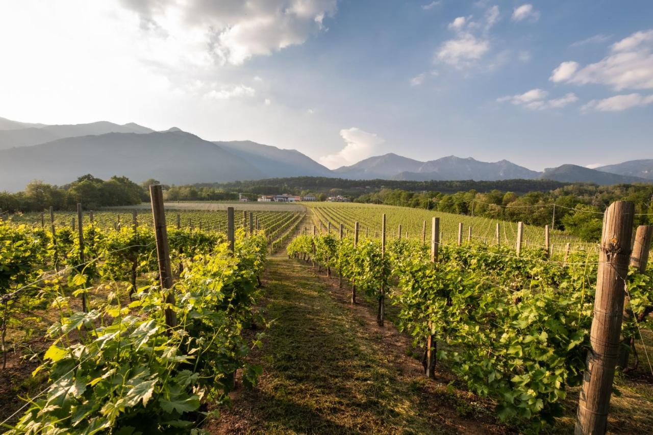 Agriturismo Al Col 福利纳 外观 照片