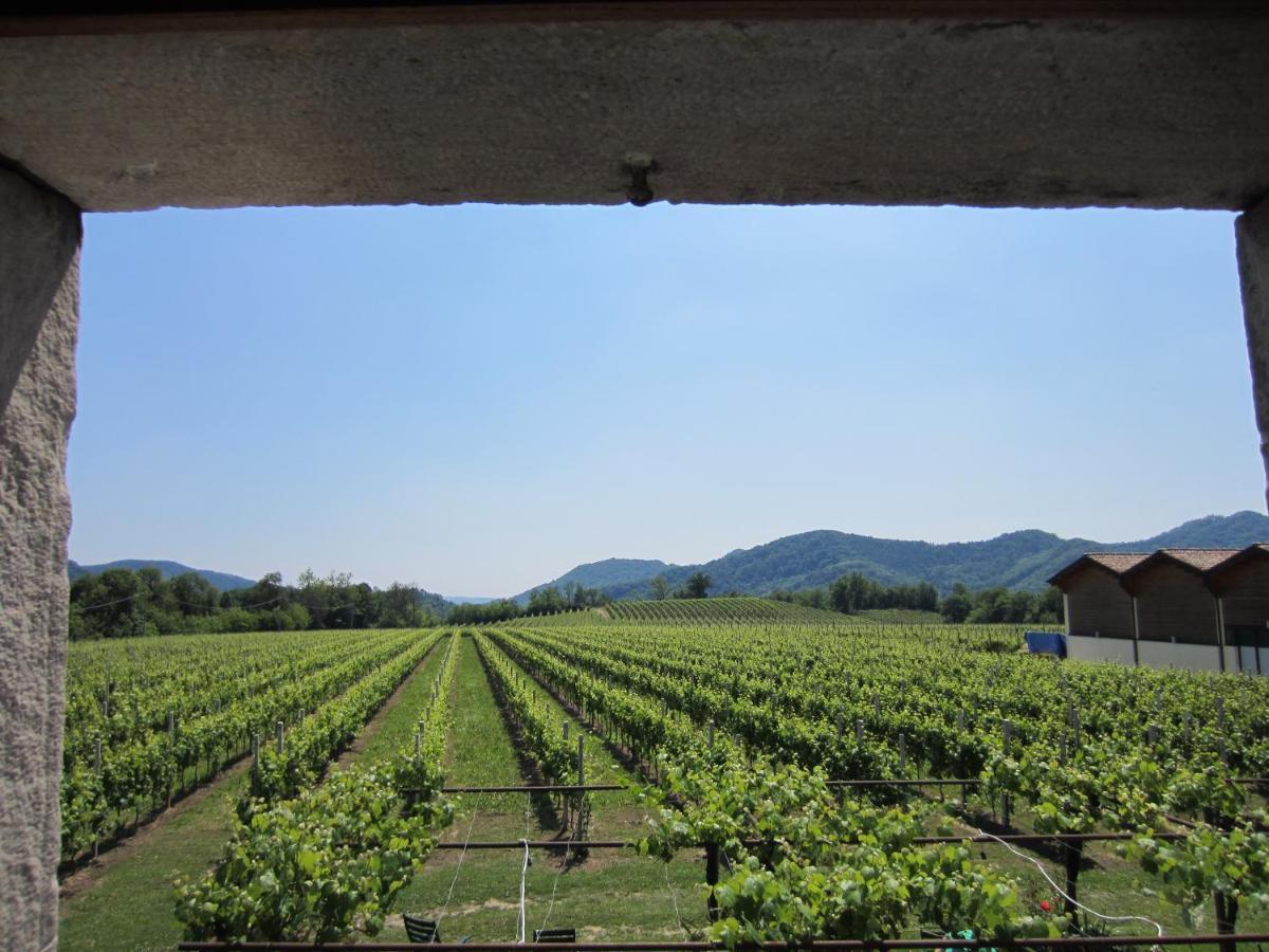 Agriturismo Al Col 福利纳 外观 照片